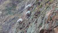 /album/fotogaleria-skylodge/skylodge-adventure-suites-3-1-png/